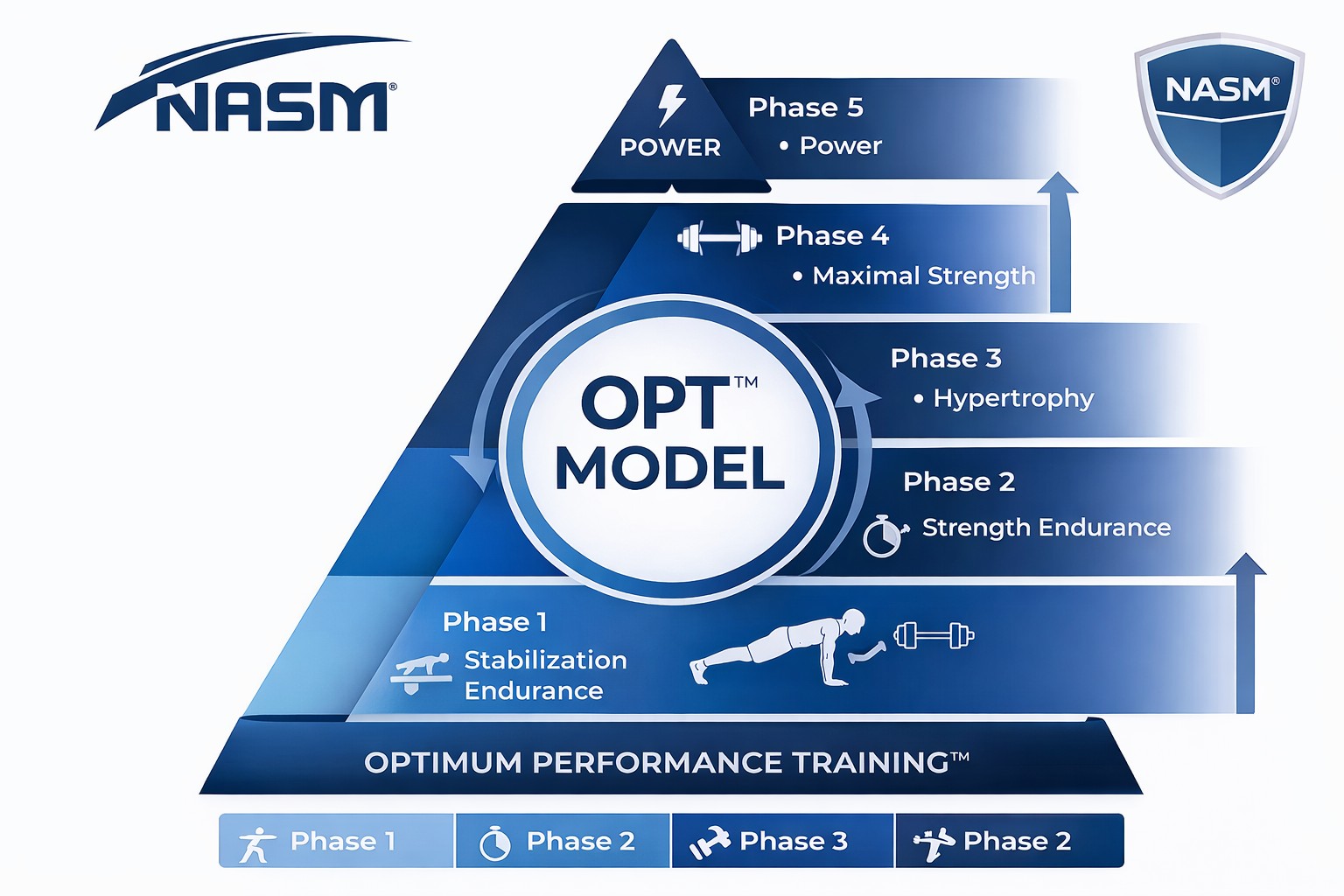 OPT model infographic 1024kb